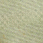 Twill Trail Short