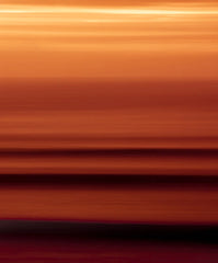 APEX Trunks by Kelly Slater