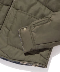 Evolution Reversible Puffer