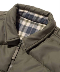 Evolution Reversible Puffer