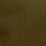 Sybil Utility Shorts