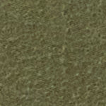 Terra Nova Moleskin Shirt