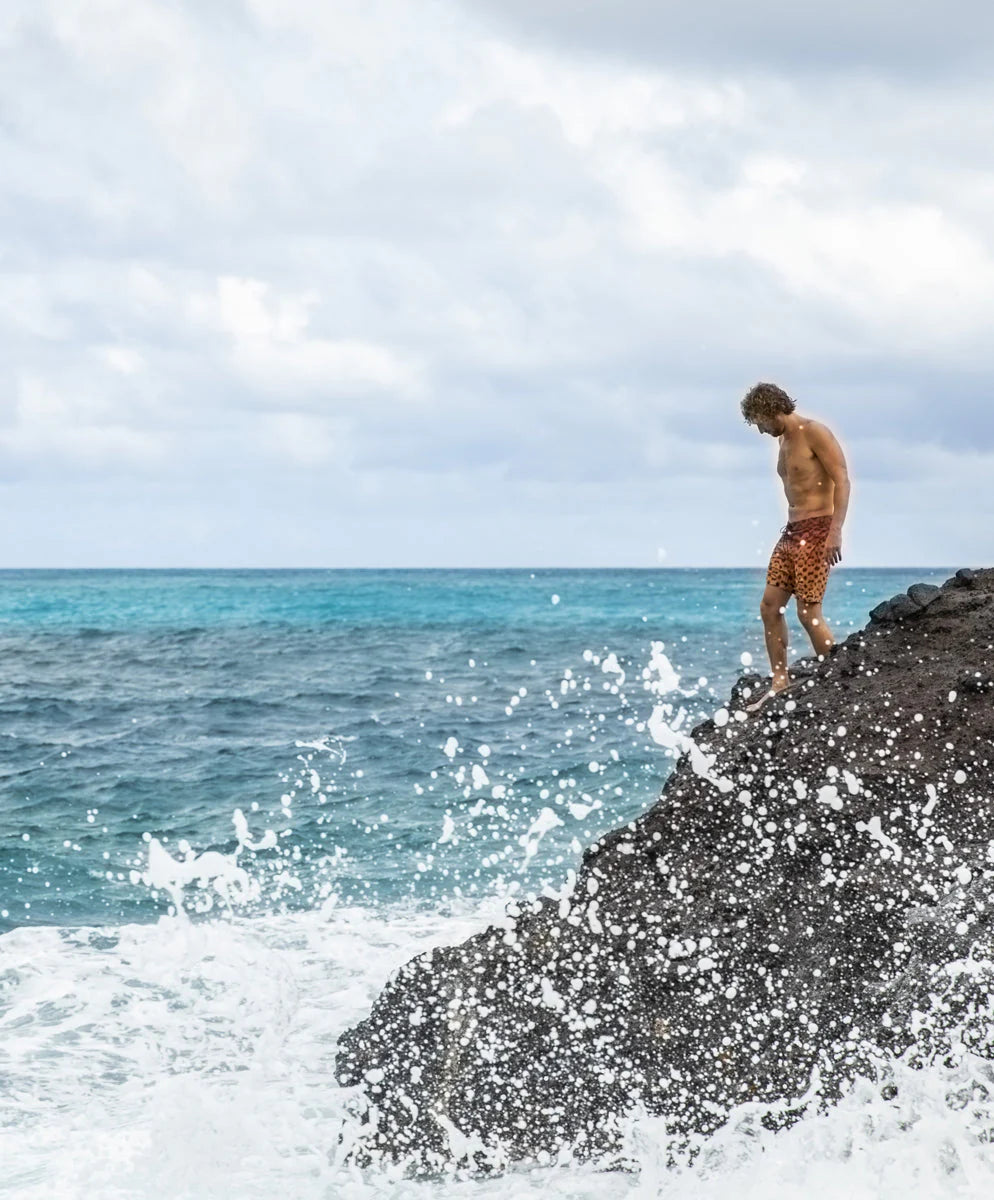 Nomadic Stretch Trunks