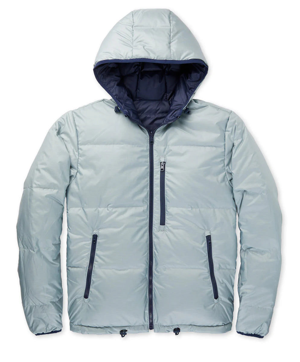 Chromatic Hooded Puffer
