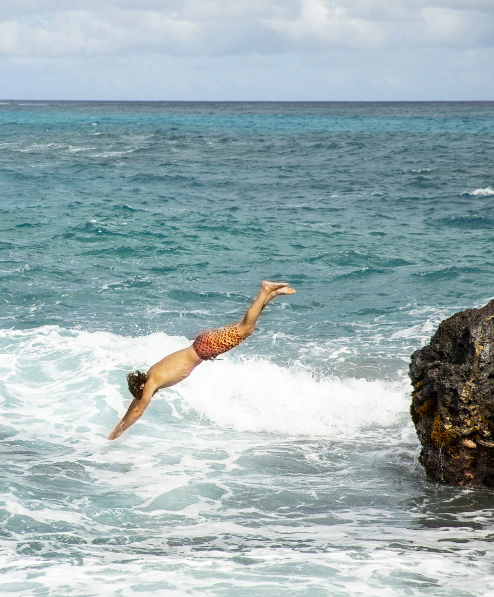 Nomadic Stretch Trunks